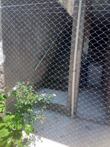 Rede de proteção para Gatos