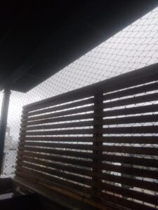 Rede de proteção para escolas