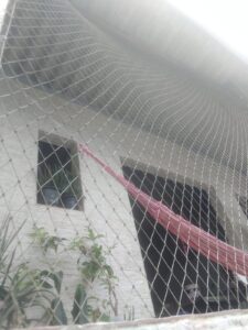 Rede para Gatos em Santo André