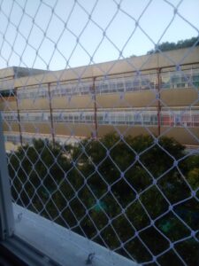 Tela e rede de proteção para gatos