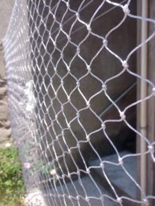 Tela rede janelas gato