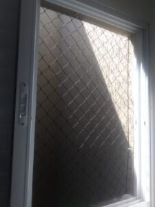 empresa de rede de proteção para gatos