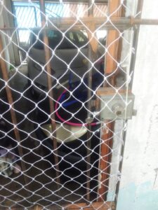 como colocar tela para gatos